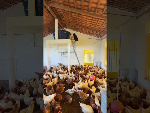 ÁGUA DAS GALINHAS