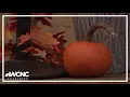 Salem Mass becomes a destination for fall foliage and spooky season