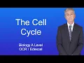 A Level Biology Revision The Cell Cycle