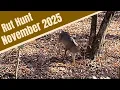 Traditional Bowhunting the Rut in Georgia Public Land