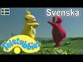 Download Lagu Teletubbies Svenska: Hela Episoden Sammanställning - 1 Timme