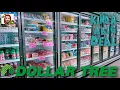DOLLAR TREE I CAN T BELIEVE THIS IS ONLY 1 25