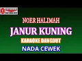 Lagu KARAOKE JANUR KUNING - NOER HALIMAH (COVER) NADA CEWEK