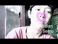 Download Lagu Ziell Ferdian Namun Semu Official
