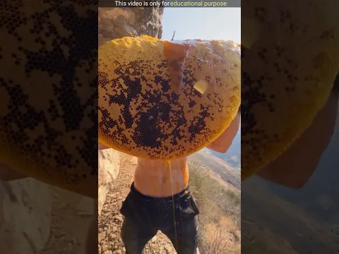 Why doesn't honey go bad, even after 3,000 years #shorts