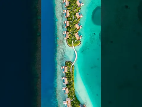 Aerial Escape to Paradise 🌴 #shorts #maldives #travel