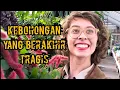 Download Lagu HANYA KARNA INGIN BERSAMA MANTAN..