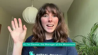 Movement Grants 2025