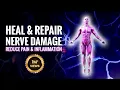 Download Lagu Heal and Repair Nerve Damage | Reduce Pain and Inflammation | Nerve Regeneration Isochronic Tones