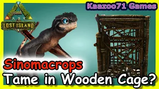Easy Trap for Sinomacrops Tame