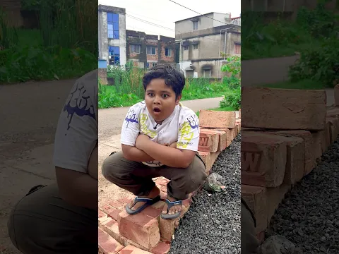 রোজে কাজ করার ফল 🤣 #youtubeshorts #funnyvideo #comedyvideo #funnyreels #sampasuvranillifestyle