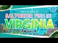 Top 5 Places to Saltwater Fish in Virginia