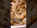 Download Lagu 🦐 Which is Better: Shrimp or Prawn? #Shorts