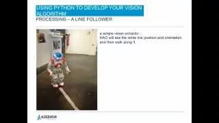 Using Python to Develop your Vision Algorithm