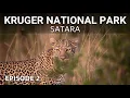 Download Lagu Bush Tales | Satara | Kruger National Park