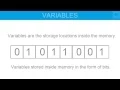 Variable and Data Type in C Programming