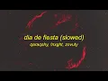 DIA DE FIESTA (Slowed)