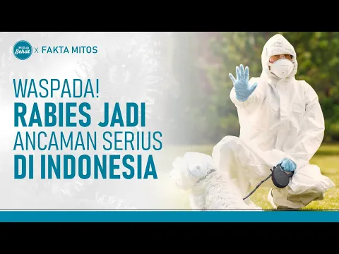 Waspada! Kasus Rabies di Indonesia Meningkat, Kenali Bahayanya
