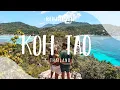 Download Lagu KOH TAO THAILAND 🇹🇭 | DIT EILAND IS NIET WAT WE ERVAN VERWACHT HADDEN | WERELDREIS VLOG 72