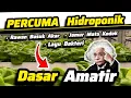 🤦‍♂️Petani Hidroponik Amatir🤦‍♂️ Tanaman Hidroponik Busuk Akar + Layu Bakteri+Busuk Jamur🤣 kok Nagis