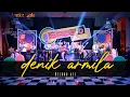 Download Lagu Denik Armila - Relung Ati [Official Music Video]