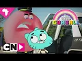 Lagu Arrested | The Amazing World of Gumball | Cartoon Network