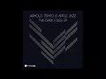 Arnold Tempo - Too Many Tomorrows - Deeper Shades Recordings