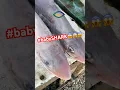Download Lagu HONIARA SOLOMON ISLANDS FISH IS EVERYWHERE, FRESH \u0026 CHEAPEST BY THE ROADSIDE #shortvideo #shorts
