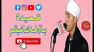 قصيدة يا ال طه انا ضيفكم من روائع الشيخ حجازي 2020 