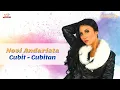 Download Lagu Novi Andarista - Cubit Cubitan (Official Music Vodeo)