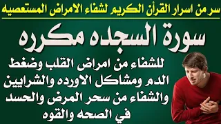سورة السجده مكرره شفاء من امراض القلب وضغط الدم ومشاكل الاورده والشرايين سحر المرض والحسد في الصحه 