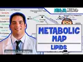 Metabolism The Metabolic Map Lipids