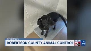Newsmaker Robertson County Animal Control
