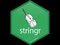 String Manipulation with stringr in R