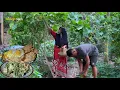 Download Lagu Di kebun sudah tersedia gak usah beli, urap urap sayur, nikmat anak sampai nambah lagi,masakan desa