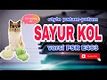 SAYUR KOL !!  Style Patam-patam Keyboard Yamaha PSR E 463