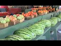 East Texas mother and daughter create new online tool to find farmers for fresher produce