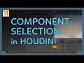 Component Selection in Houdini