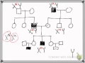 bio 5-7-15 x linked pedigrees and genotype