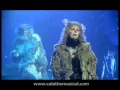 Download Lagu Memory - Elaine Paige as Grizabella, HD