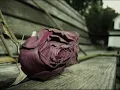 Mohamed Fouad- Habibi Ya Lyrics/English translation
