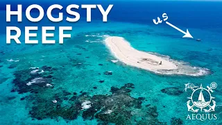 Our MOST remote anchorage yet – Hogsty Reef |  Sailing Aequus – Episode 15