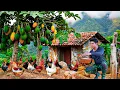 Download Lagu CEO Jack Quits Luxury Life to Survive with Tu Tien: Farming, Building \u0026 Cooking