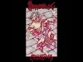 Download Lagu Diabolic Possession (NE) - Ripped to Pieces (1993/2025) FULL DEMO - DSC-035