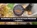 2017 Leaf Collection