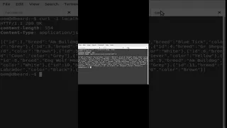 Programming java maven quarkus dolt api