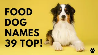 Food Dog Names 39 TOP CUTE BEST Ideas Names
