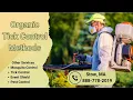 Organic Tick Control Methods Stow MA