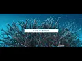 Dios Incomparable - Generación 12 feat. Marcos Barrientos | LETRA #JuevesRetro
