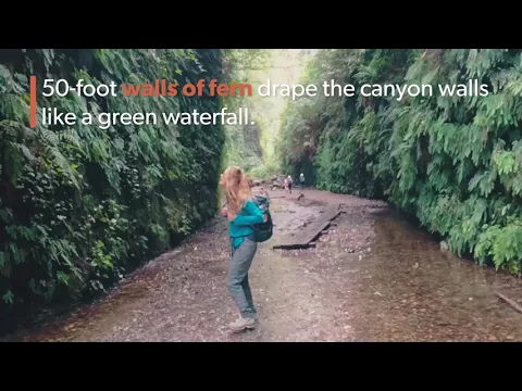 Humboldt County Adventures: From Redwoods to Coast - YouTube thumbnail